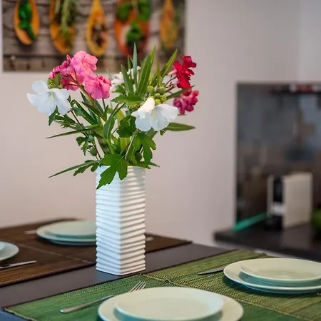 Apartment Dragica Cizici
